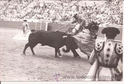 Tauromaquia: ANTIGUA FOTO DE PICADOR, POR ARJONA, SEVILLA