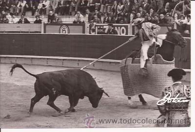 Tauromaquia: ANTIGUA FOTO DE PICADOR, REPORTAJES BOTAN, MADRID, DE 1973