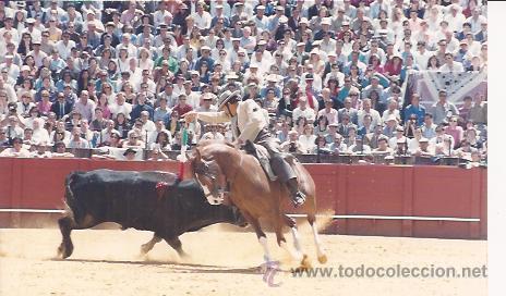 Tauromaquia: FOTO TAURINA, REJONEADOR