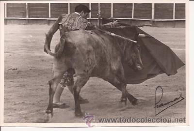 Tauromaquia: FOTO TAURINA POR FERNANDO SERRANO, DE PRIEGO DE C&Oacute;RDOBA