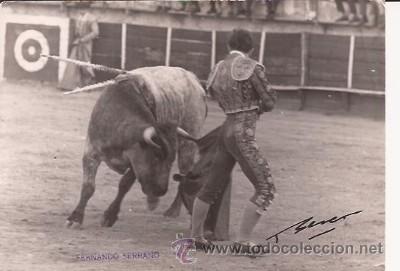 Tauromaquia: FOTO TAURINA POR FERNANDO SERRANO, DE PRIEGO DE C&Oacute;RDOBA