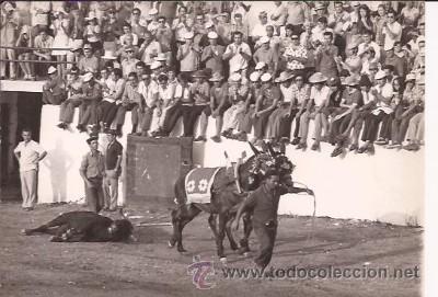 Tauromaquia: FOTO TAURINA POR ARJONA, SEVILLA