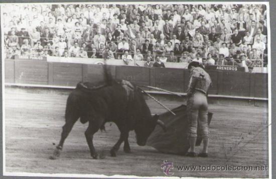 Tauromaquia: Joselito Clavel, fotografia con autografo