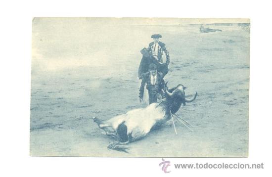 Tauromaquia: VIENDO MORIR A SU VICTIMA. - Foto 1