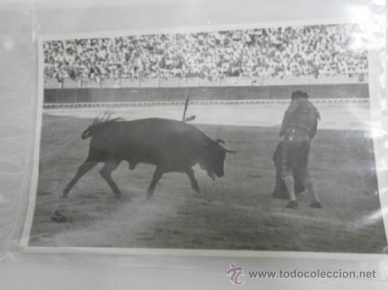 Tauromaquia: FOTO TAUROMAQUIA ORIGINAL DE MANUEL FRANCO CARDE&Ntilde;O TAUROMAQUIA-050