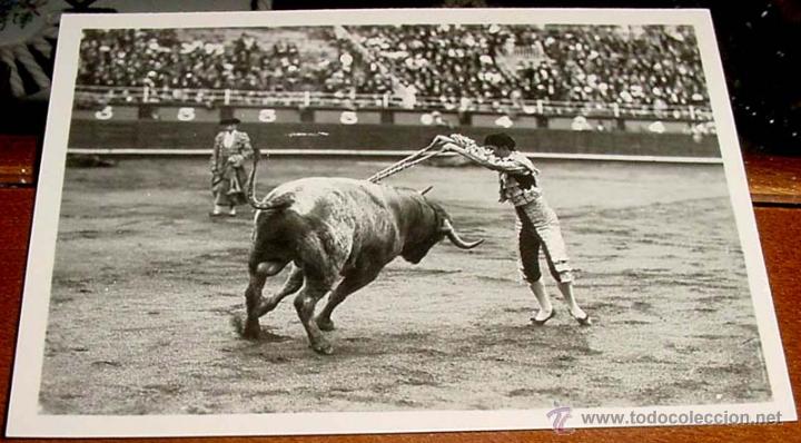 Banderillas de torero de uso profesional