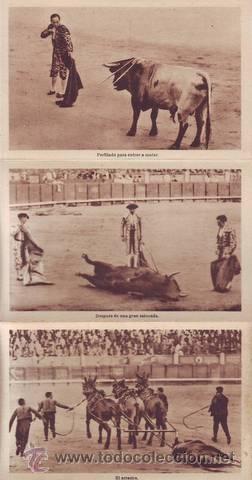 Tauromaquia: CORRIDA DE TOROS. 12 postales sin circular - Foto 2