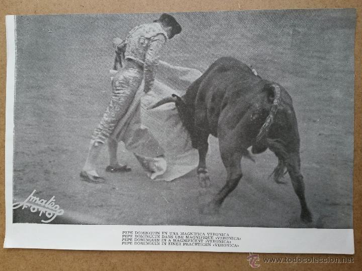 Tauromaquia: Foto de luis miguel dominguin 23,5 x 16 cms en 4 idiomas,nada detras