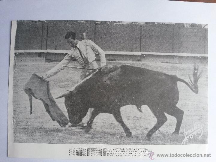 Tauromaquia: Foto de luis miguel dominguin 23,5 x 16 cms en 4 idiomas,nada detras