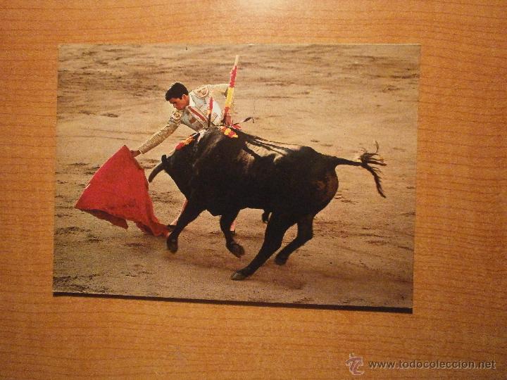 Tauromachia: POSTAL TOROS PAQUIRRI NATURAL CON LA DERECHA SIN CIRCULAR
