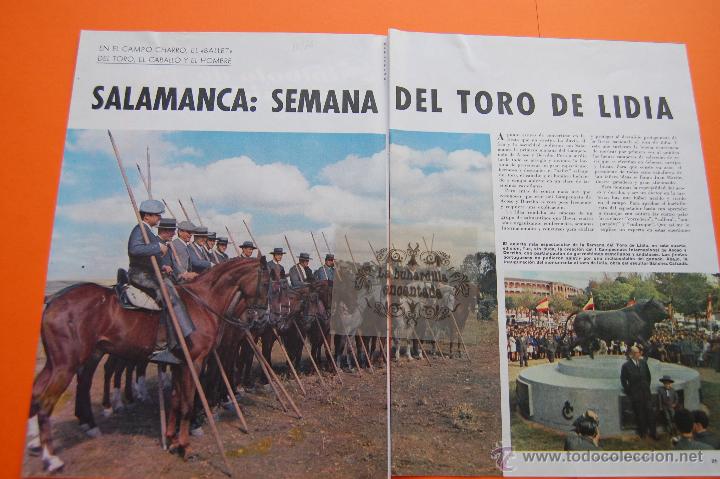 Tauromaquia: ARTICULO REVISTA 1966 - SALAMANCA SEMANA DEL TORO DE LIDIA MAGNIFICAS FOTOS - 8 PAG.