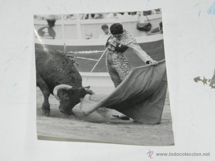 Tauromaquia: FOTOGRAFIA DE PACO CAMINO, TOROS, TAUROMAQUIA,  BAYONA (FRANCIA), A&Ntilde;O 1966, MIDE 12 X 10 CMS.