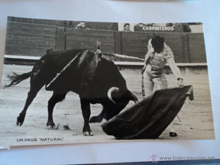 Bullfighting: antigua foto de torero pase natural, 14 x 9 cm