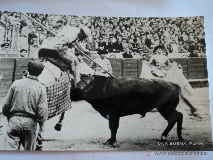 Bullfighting: antigua foto de toros una buena puya
