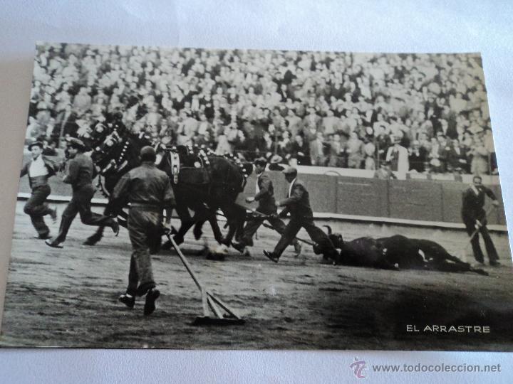 Bullfighting: antigua foto de toros el arrastre