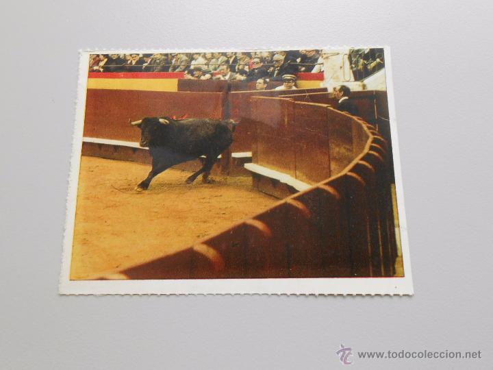 Bullfighting: FICHA FOTO TAUROMAQUIA DE BOLSILLO N&ordm; 66. LA SALIDA DEL TORO. TDKP5