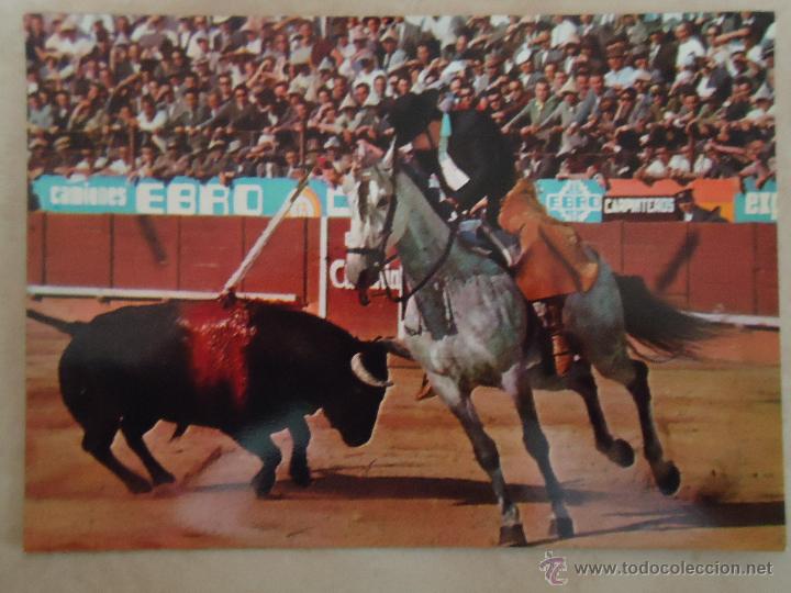 Bullfighting: TARJETA POSTAL GIGANTE DE RAFAEL PERALTA REJONEANDO. A&Ntilde;OS 60