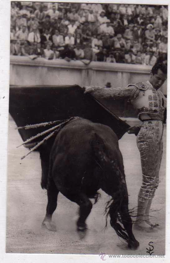 Tauromaquia: Tarjeta postal 3576 Corrida Luis Miguel Domingu&iacute;n. Sin circular.