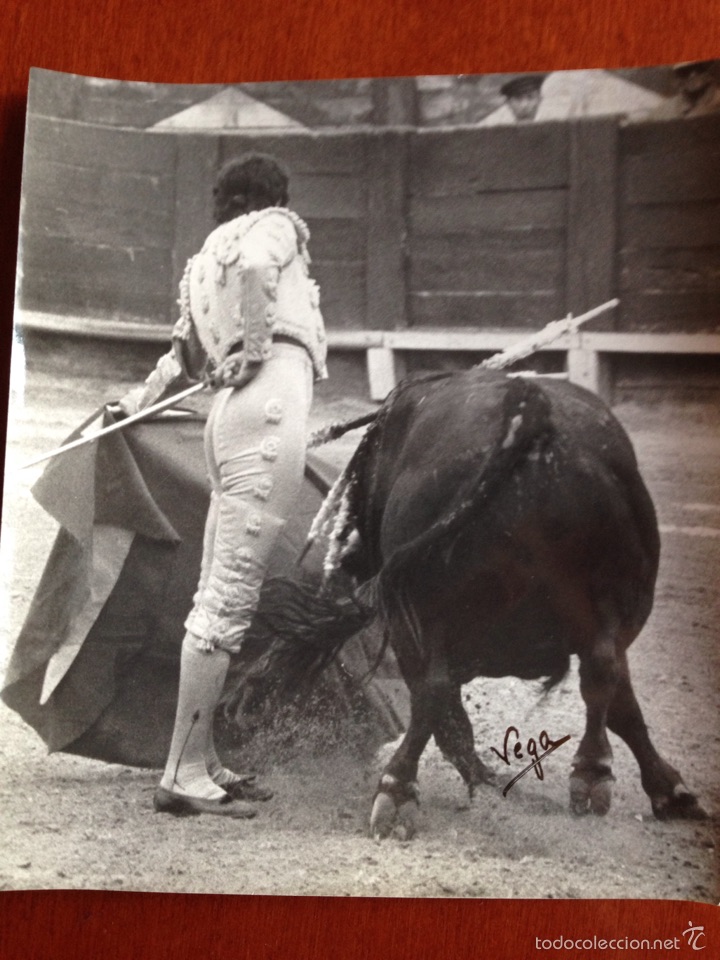 Tauromaquia: Foto original Luis Miguel dominguin corrida de toros Madrid 1973