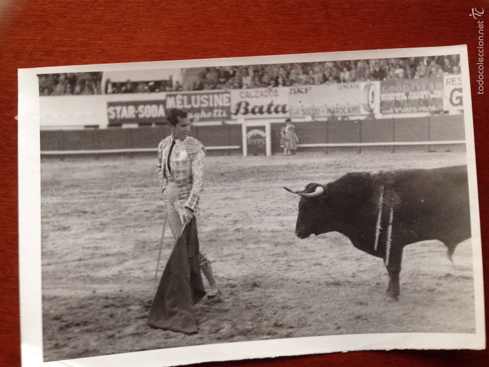 Tauromaquia: Foto original Luis Miguel dominguin corrida de toros Madrid 1951