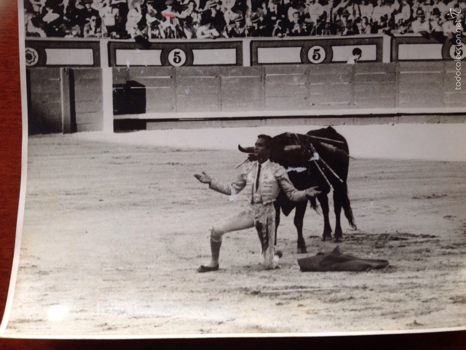 Tauromaquia: Foto original Luis Miguel dominguin corrida de toros Madrid 1948