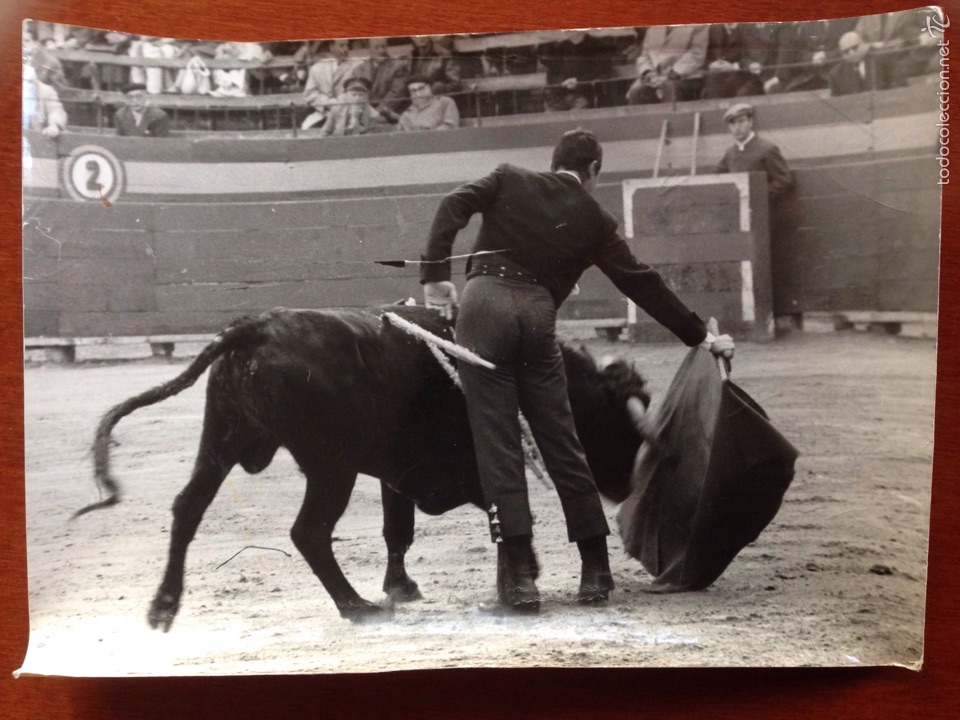 Tauromaquia: Foto original Luis Miguel dominguin corrida de toros Valencia 1962