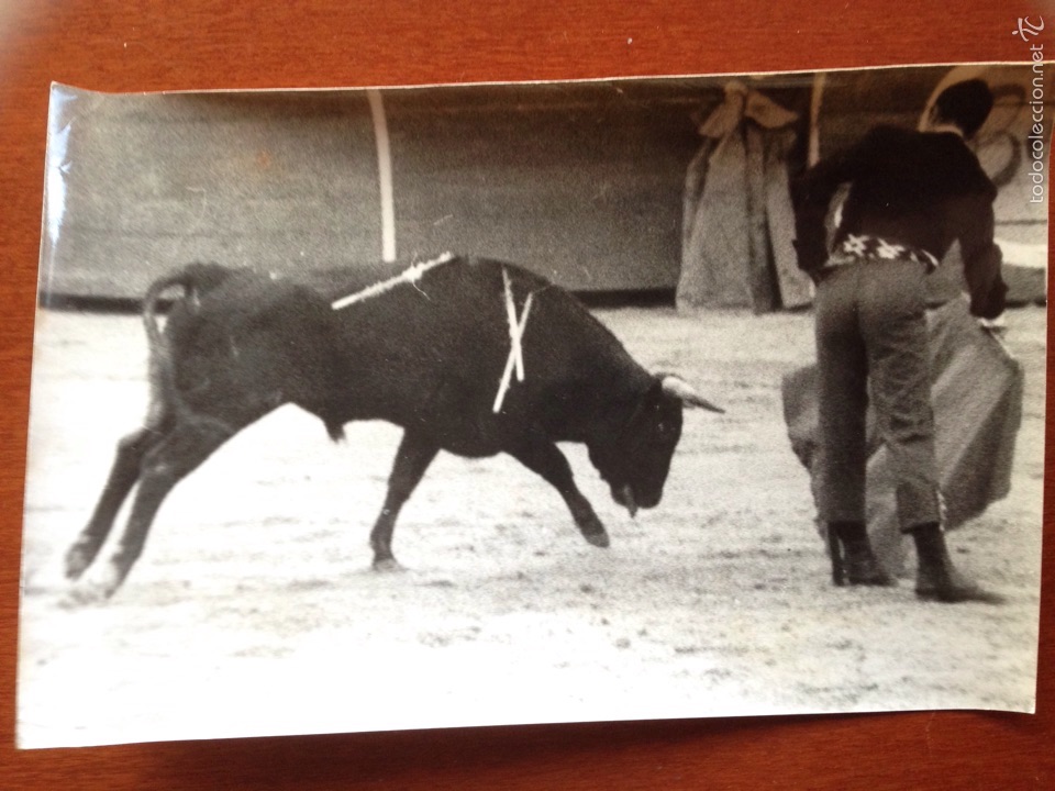 Tauromaquia: Foto original Luis Miguel dominguin corrida de toros festival torrelodones.1964