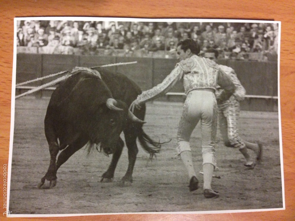Tauromaquia: Foto original Luis Miguel dominguin corrida de toros 1948