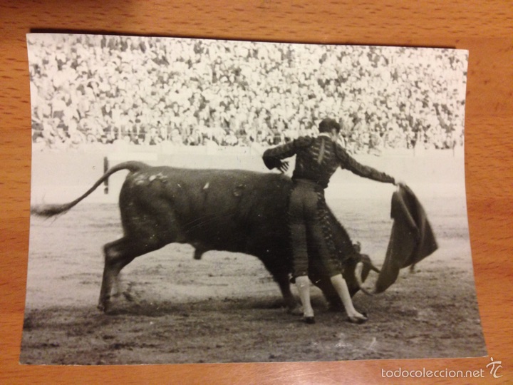 Tauromaquia: Foto original Luis Miguel dominguin corrida de toros 1946