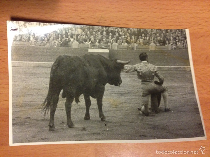 Tauromaquia: Foto original Luis Miguel dominguin corrida de toros Zaragoza