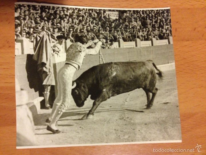 Tauromaquia: Foto original Luis Miguel dominguin corrida de toros Zaragoza 1951
