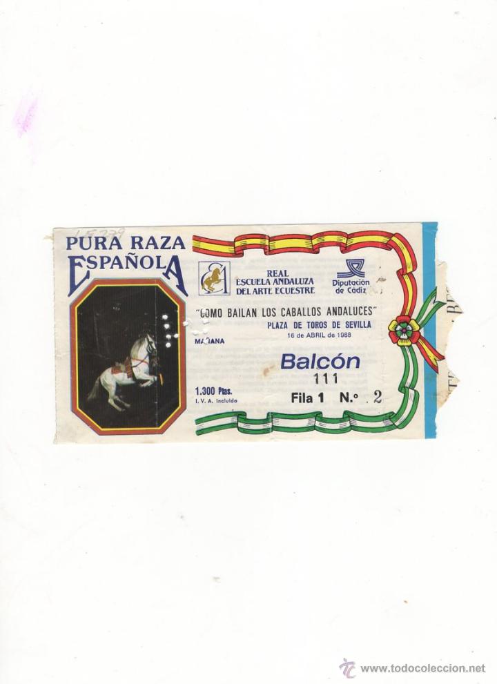 Bullfighting: ENTRADA DE TOROS, PLAZA DE TOROS DE SEVILLA, 1988.