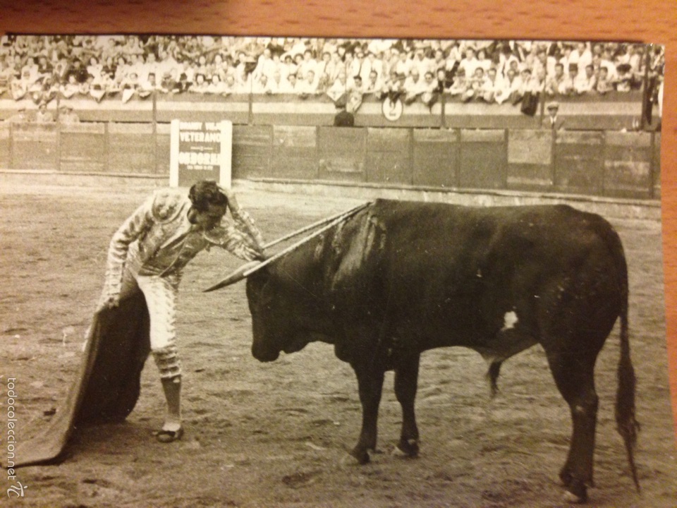 Tauromaquia: Foto original del torero Luis Miguel dominguin  corrida de toros 1946.foto Torres Molina granada