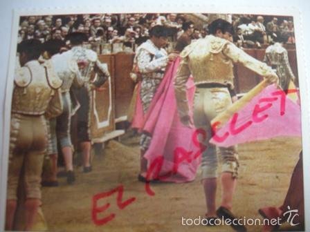 Tauromaquia: TAUROMAQUIA DE BOLSILLO-  CAMBIAR LA SEDA POR EL PERCAL  - N&ordm; 54-- PEDRO DOMECQ.