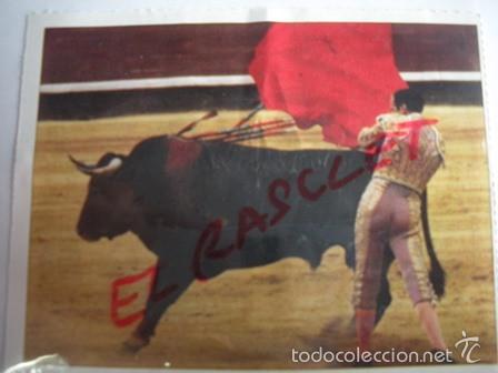 Tauromaquia: TAUROMAQUIA DE BOLSILLO-   AYUDADOS POR ALTO  - N&ordm; 111-- PEDRO DOMECQ.