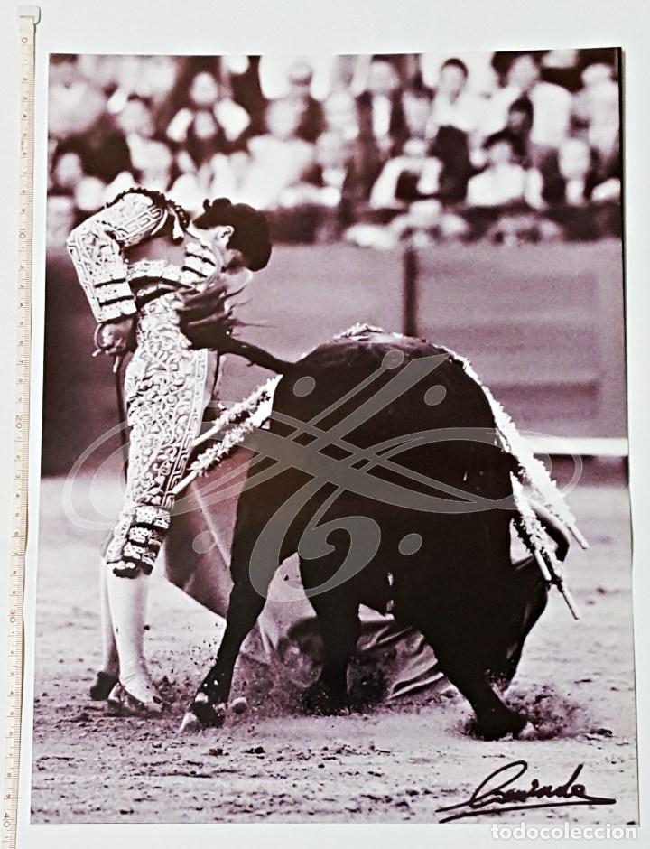 Bullfighting: Reproduccion de foto 30x40 de torero Morante?
