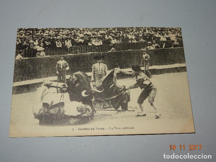 Tauromaquia: Antigua Tarjeta Postal CORRIDA DE TOROS - UN TORO CODICIOSO - A&ntilde;o 1930s.