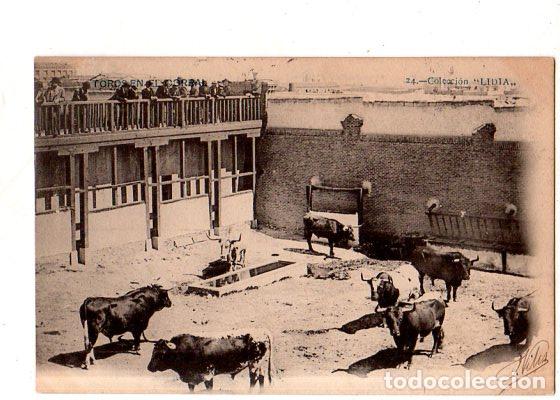 Stierkampf: COLECCION LIDIA. TOROS EN EL CORRAL. N&ordm; 24. TARJETA POSTAL.