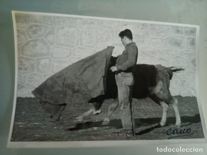 Tauromaquia: Fotograf&iacute;a taurina Francisco Cano, Canito