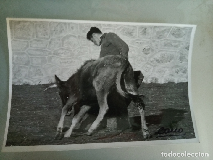 Tauromaquia: Fotograf&iacute;a taurina Francisco Cano, Canito