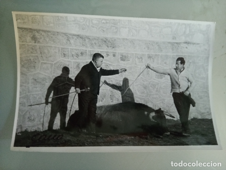 Tauromaquia: Fotograf&iacute;a taurina Francisco Cano, Canito