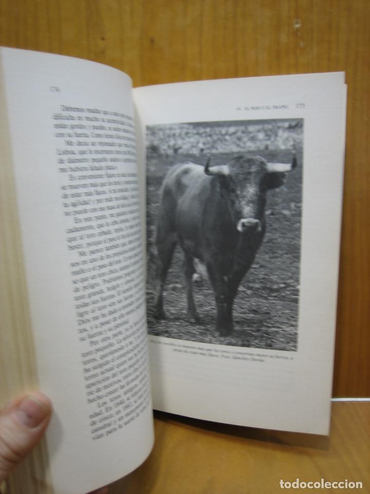 Tauromaquia: El toro Bravo - Foto 5