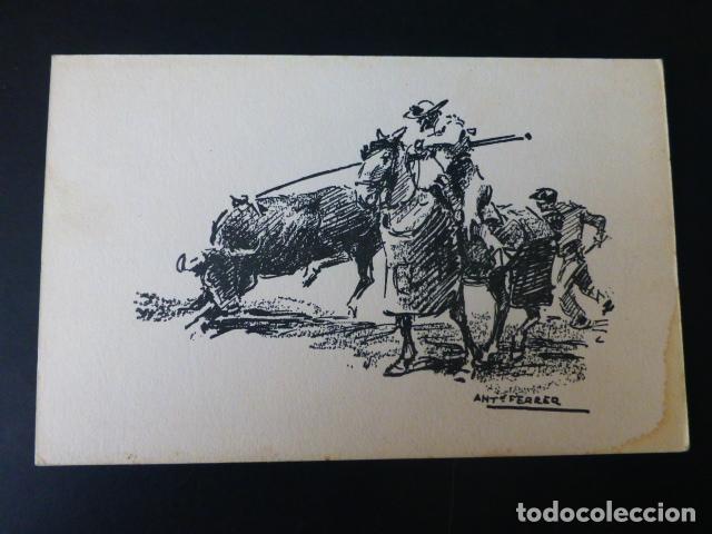 Bullfighting: SUERTE DE VARAS ANTONIO FERRER ILUSTRADOR CORRIDA DE TOROS POSTAL TAURINA