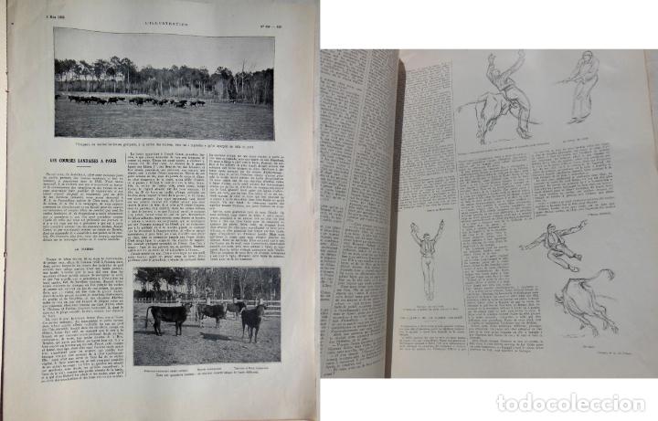 Tauromachia: LA HARDE. LES JEUX DE LA COURSE LANDAISE. DES PESQUIDOUX Joseph, AYMARD Pierre. 1925. L'Illustration