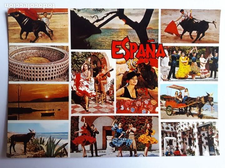 Tauromaquia: TOROS. ESPA&Ntilde;A TIPICA. POSTAL - Foto 1