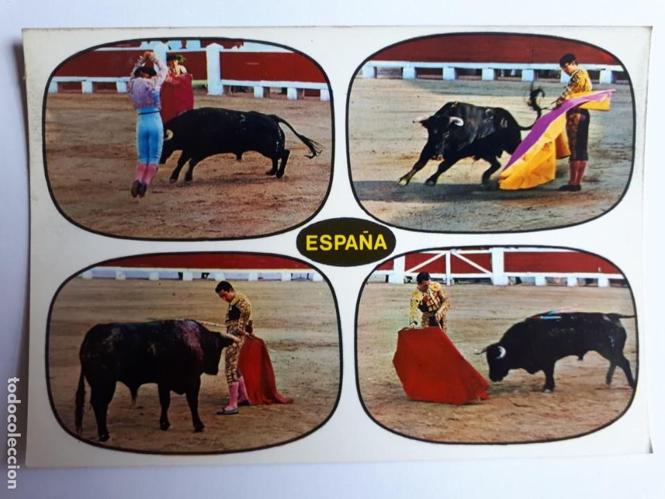 Tauromaquia: TOROS. T&Iacute;PICA CORRIDA DE TOROS. ESPA&Ntilde;A. POSTAL - Foto 1