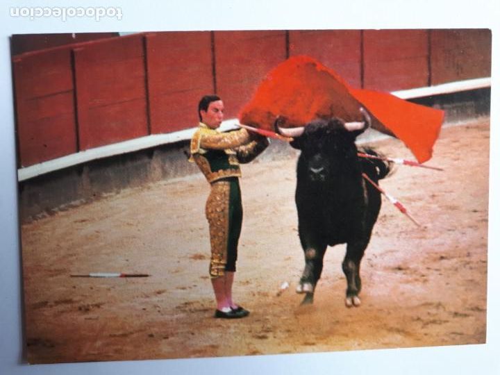 Tauromaquia: TOROS. CHAMACO. ANTONIO BORRERO MORANO. POSTAL - Foto 1