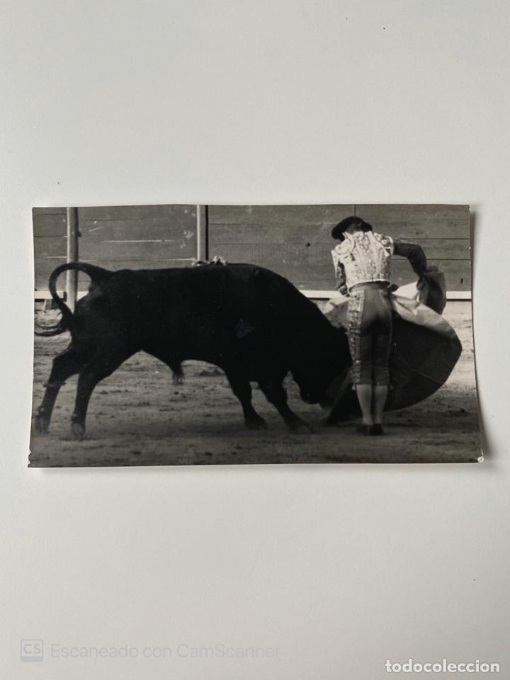 Stierkampf: FOTOGRAFIA TAURINA. TORERO: MANOLO GONZALEZ. VER