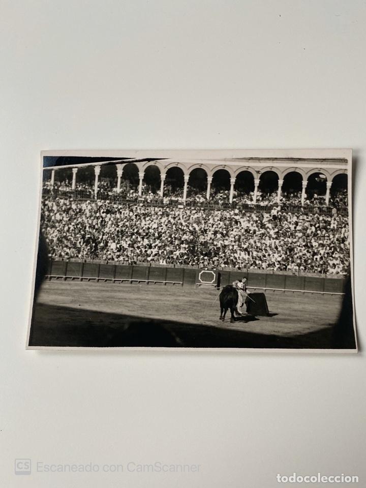 Stierkampf: FOTOGRAFIA TAURINA. TORERO: MANOLO GONZALEZ. VER