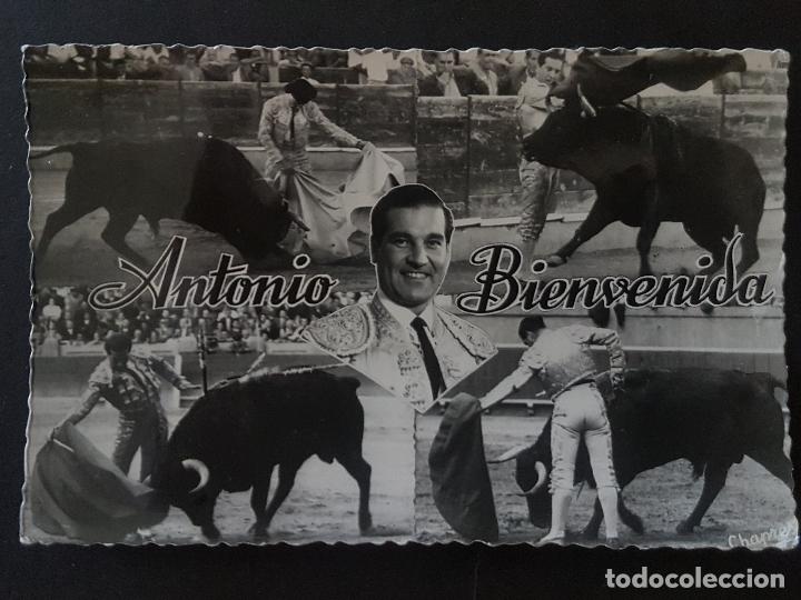 Tauromaquia: ANTONIO BIENVENIDA TORERO POSTAL - Foto 1